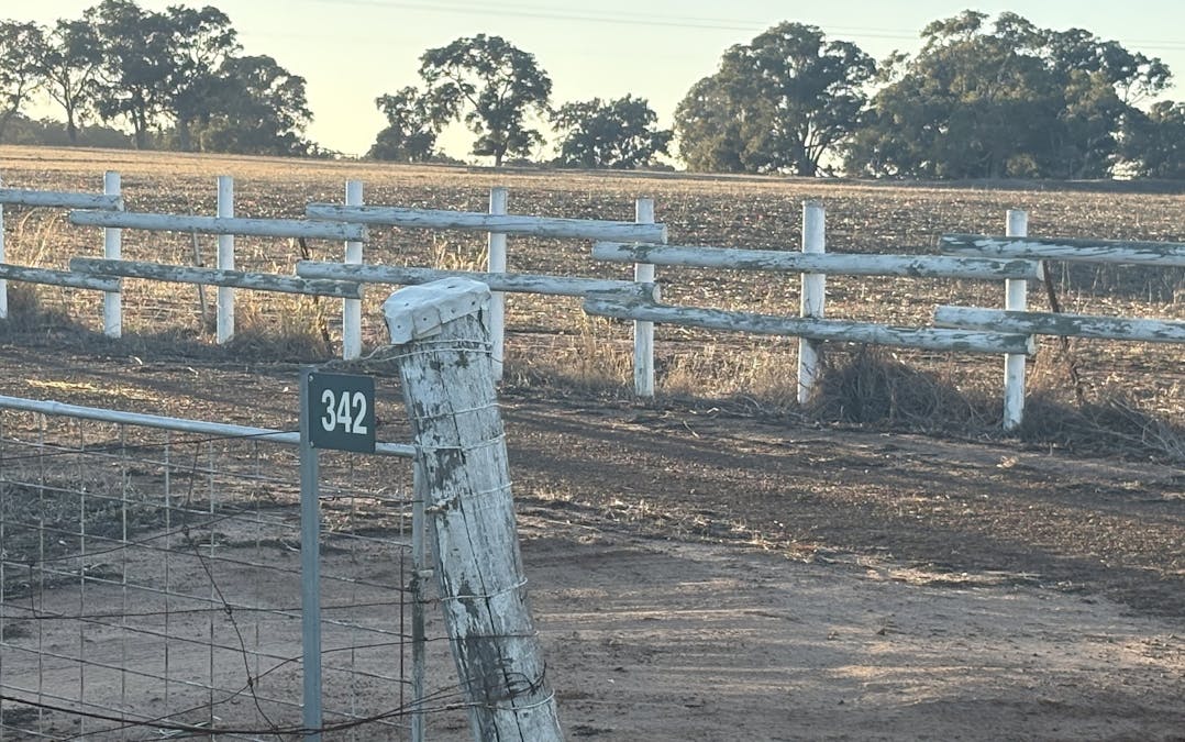 342 Badgingarra Road, Dandaragan, WA, 6507 - Image 10