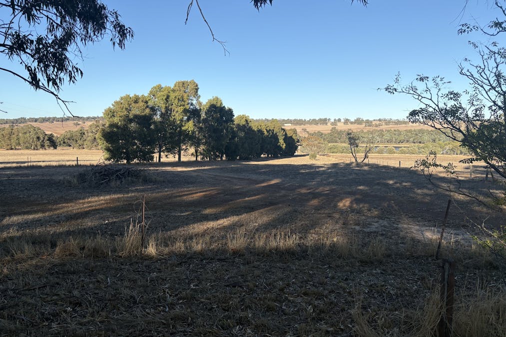 342 Badgingarra Road, Dandaragan, WA, 6507 - Image 8