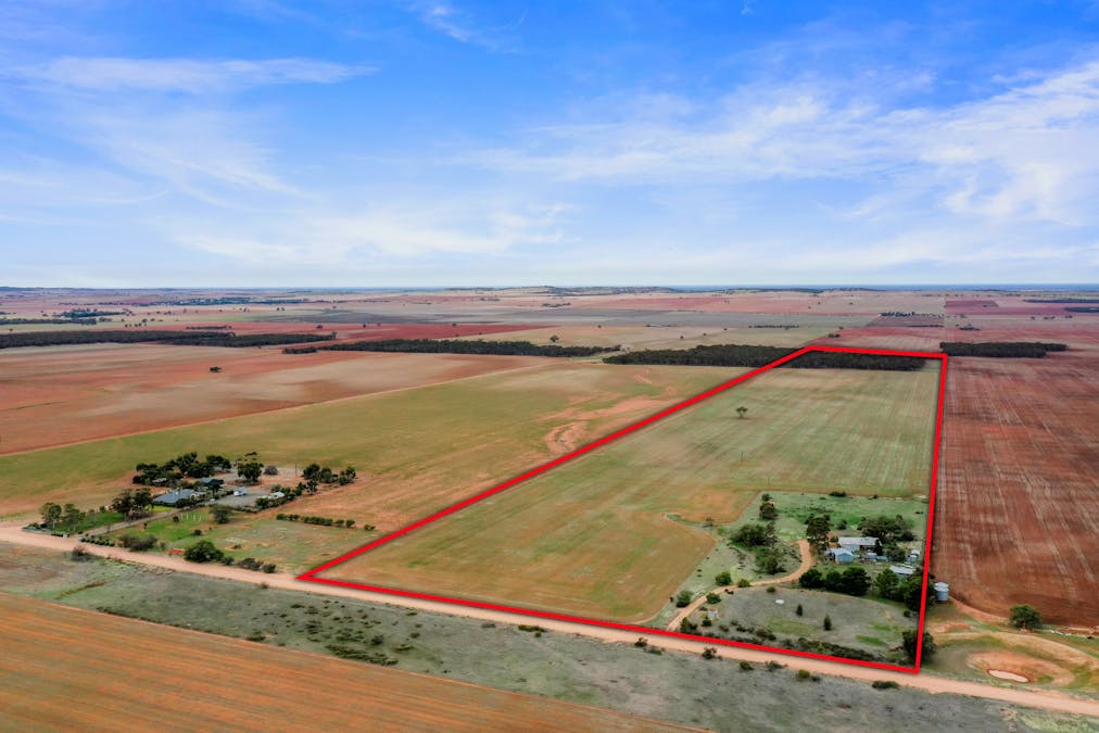 538 Stock Route Road, Robertstown, SA, 5381 - Image 2
