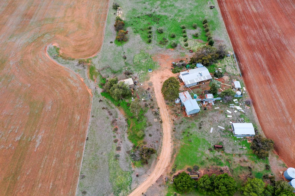 538 Stock Route Road, Robertstown, SA, 5381 - Image 4