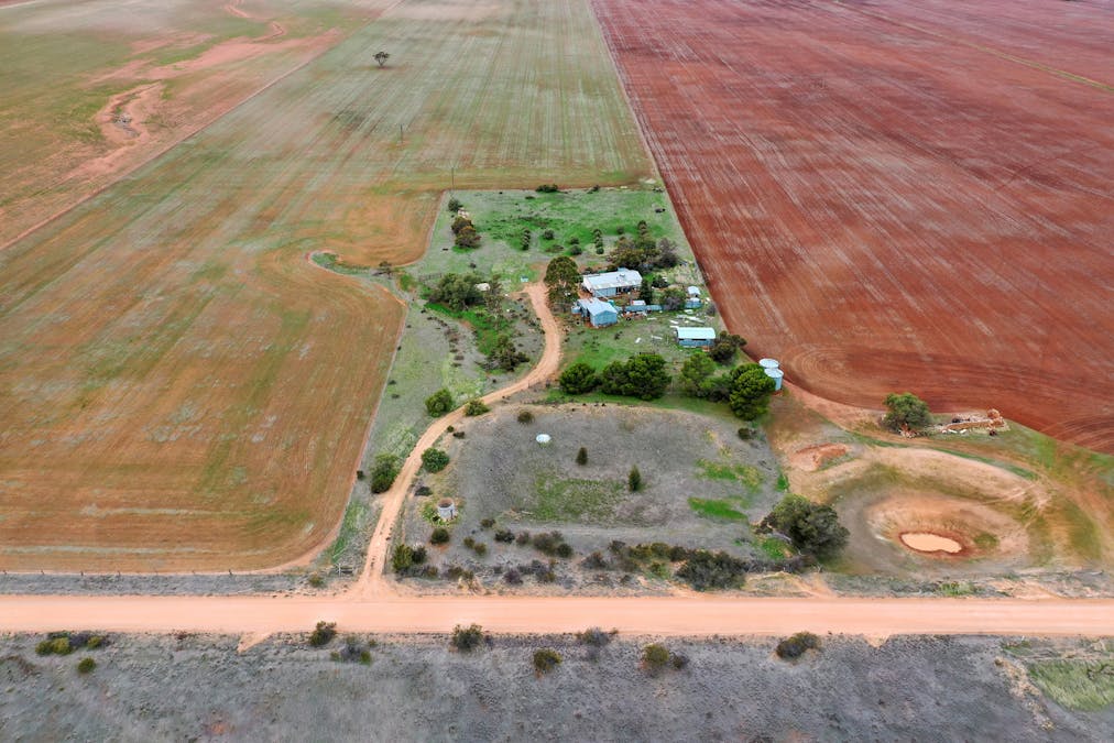 538 Stock Route Road, Robertstown, SA, 5381 - Image 3