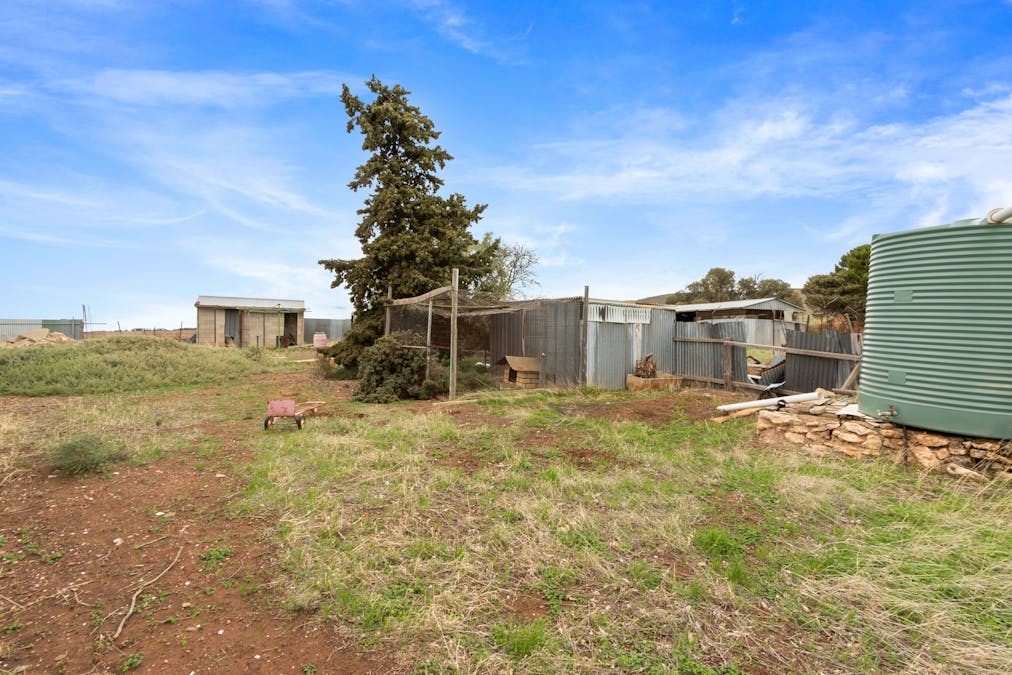 538 Stock Route Road, Robertstown, SA, 5381 - Image 9