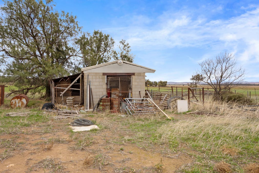 538 Stock Route Road, Robertstown, SA, 5381 - Image 8