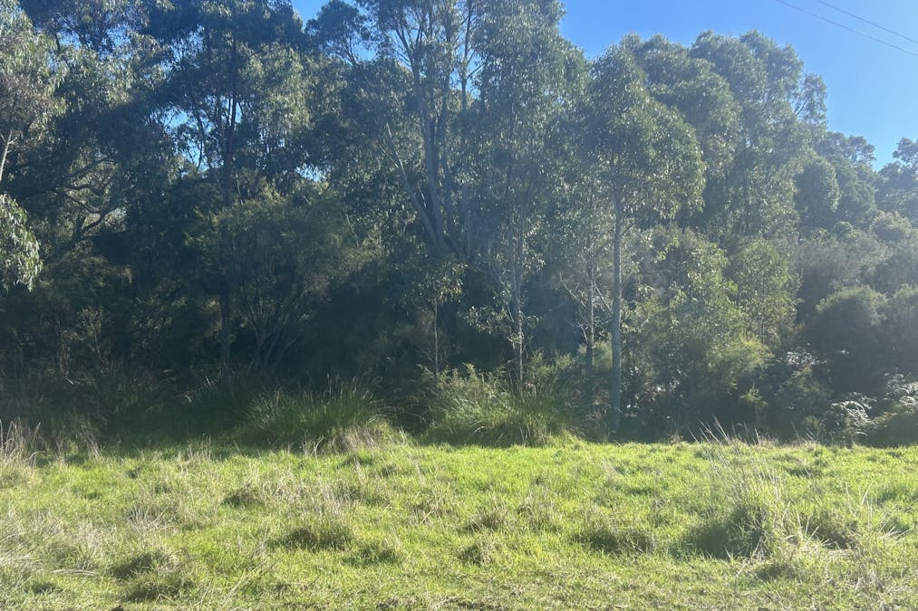 2465 Middleton Road, Northcliffe, WA, 6262 - Image 4