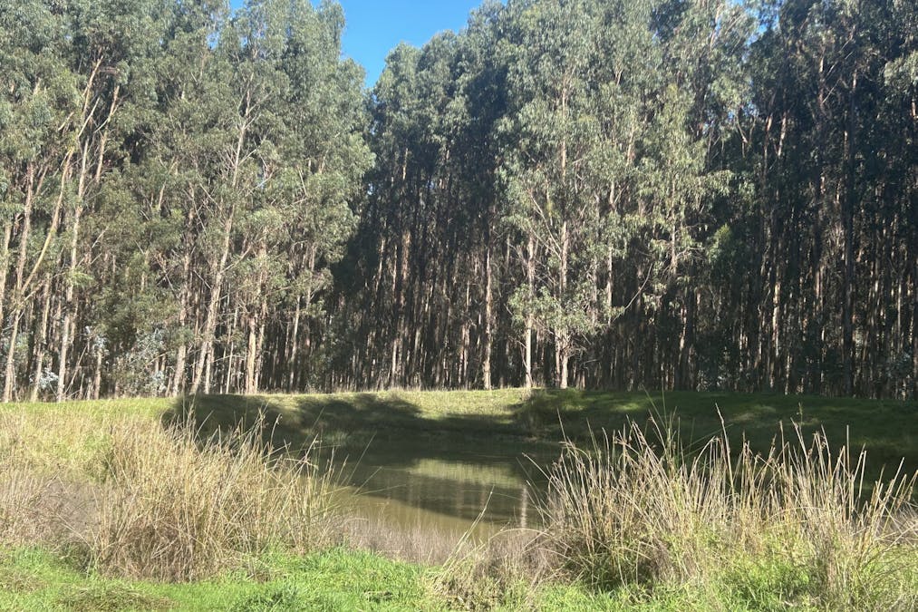 2465 Middleton Road, Northcliffe, WA, 6262 - Image 5