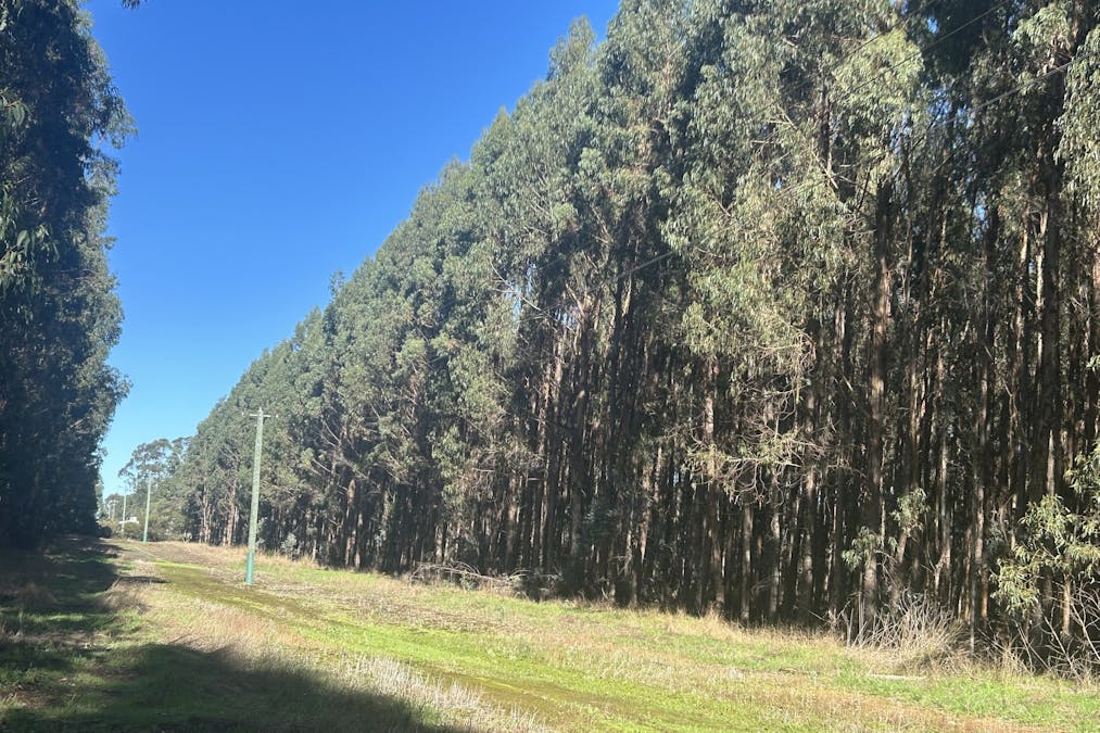 2465 Middleton Road, Northcliffe, WA, 6262 - Image 6