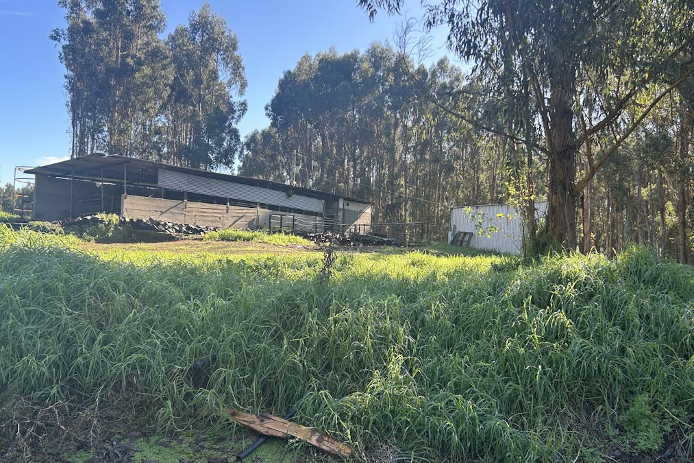 2465 Middleton Road, Northcliffe, WA, 6262 - Image 7