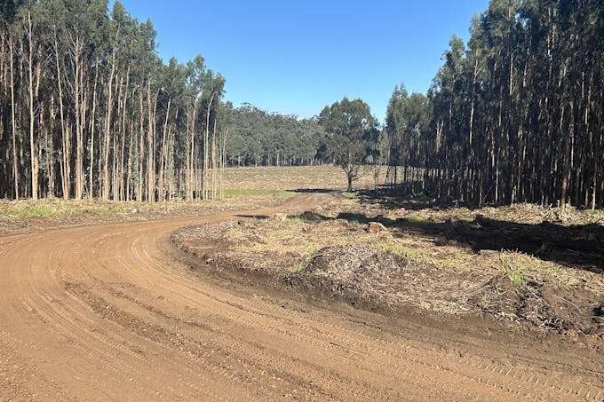 2465 Middleton Road, Northcliffe, WA, 6262 - Image 1