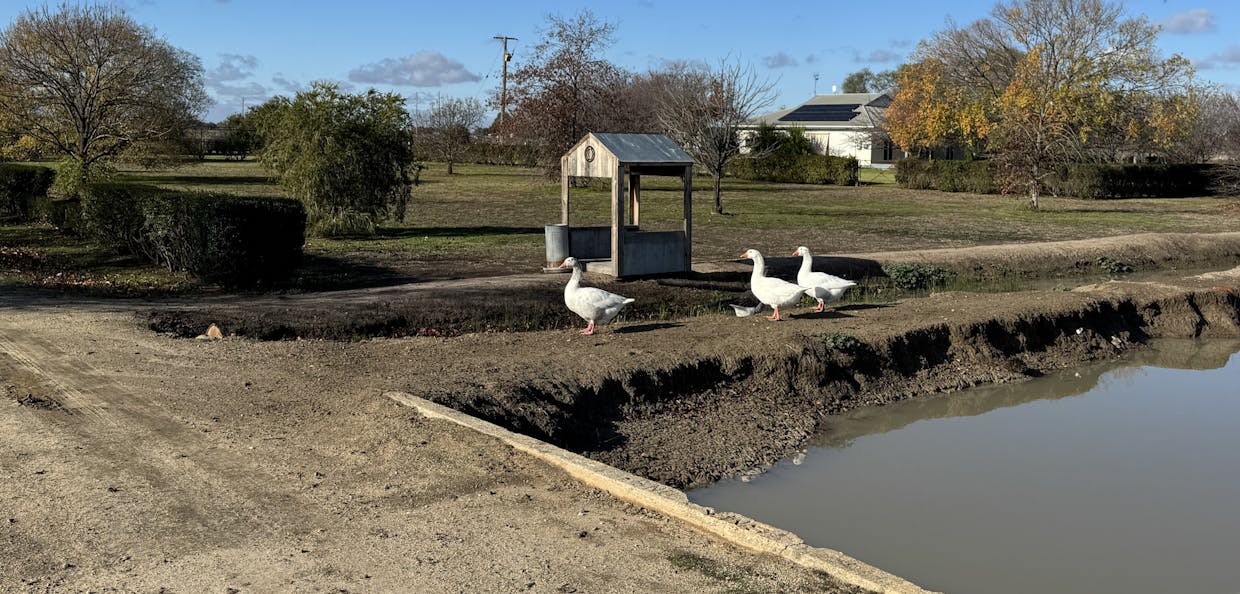 21740 Riverina Highway, Deniliquin, NSW, 2710 - Image 6