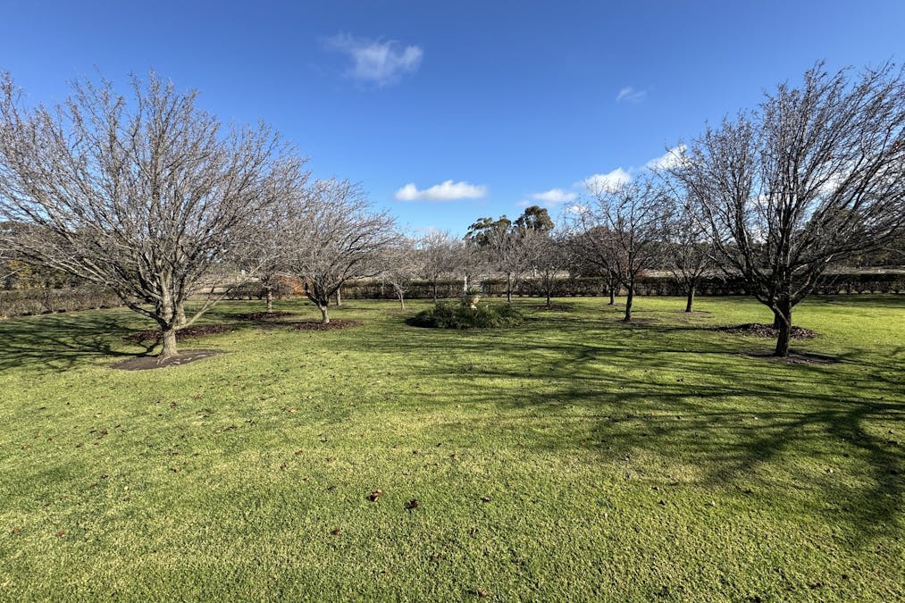 21740 Riverina Highway, Deniliquin, NSW, 2710 - Image 5