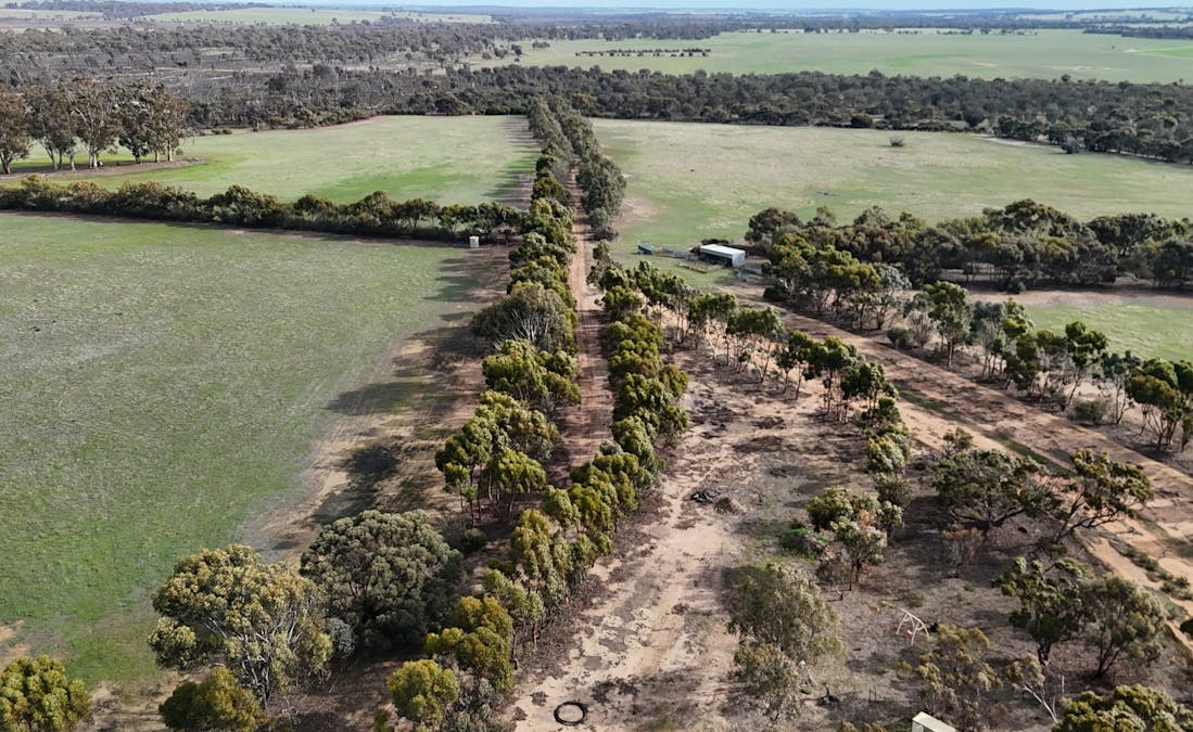 8827 Wallis Road, Katanning, WA, 6317 - Image 23