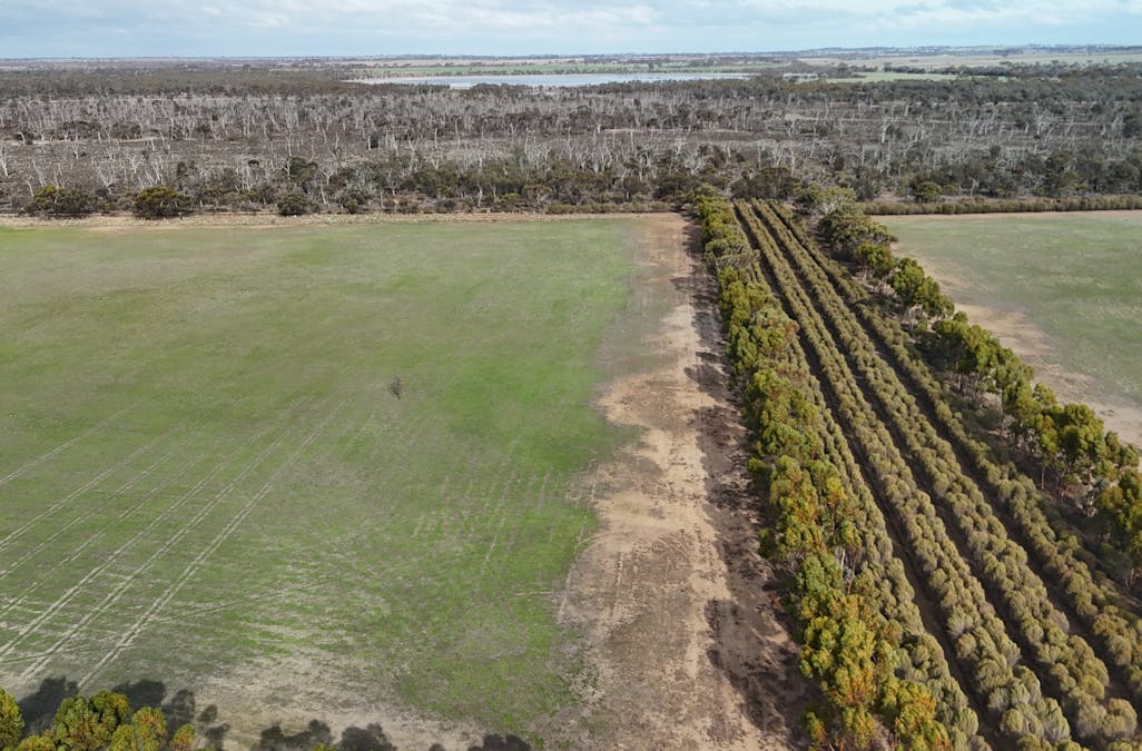 8827 Wallis Road, Katanning, WA, 6317 - Image 24