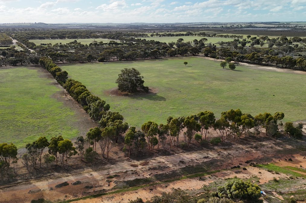 8827 Wallis Road, Katanning, WA, 6317 - Image 26