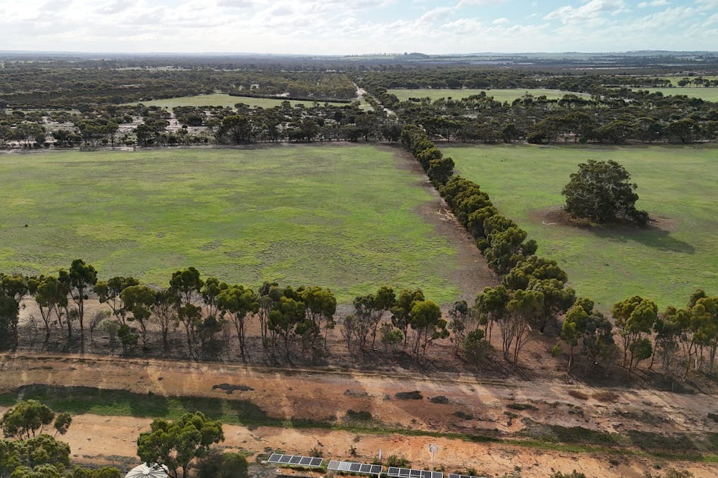 8827 Wallis Road, Katanning, WA, 6317 - Image 27