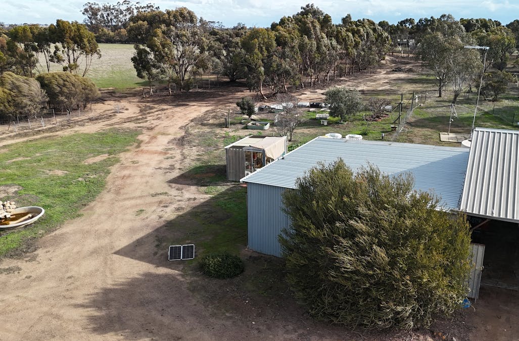 8827 Wallis Road, Katanning, WA, 6317 - Image 35