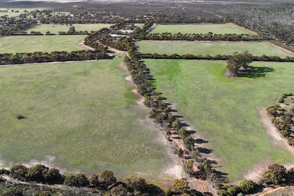 8827 Wallis Road, Katanning, WA, 6317 - Image 31