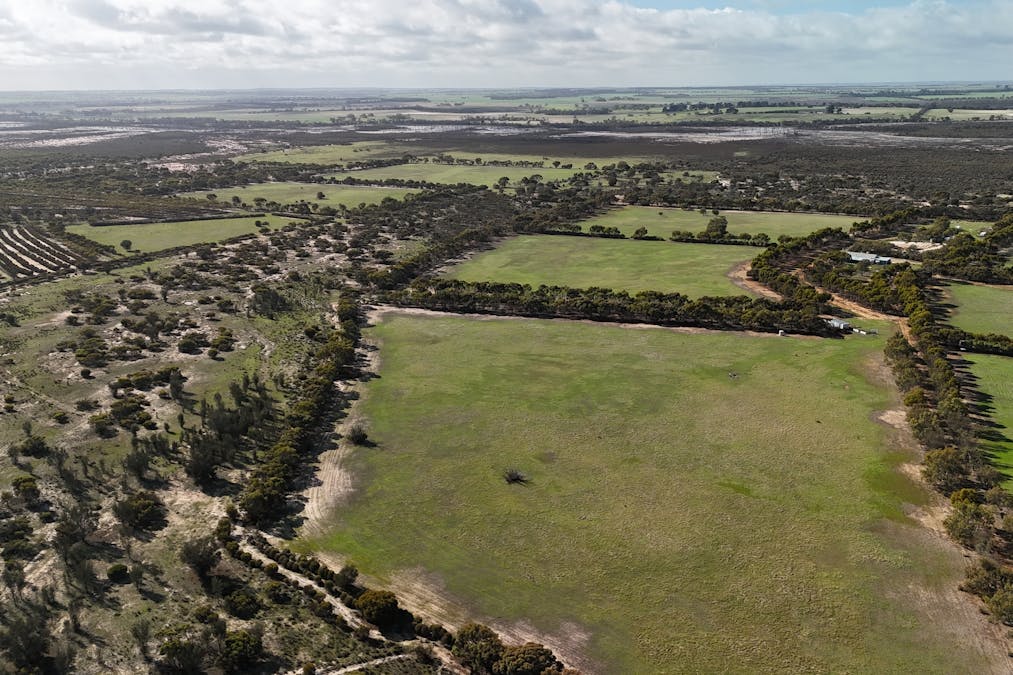 8827 Wallis Road, Katanning, WA, 6317 - Image 32