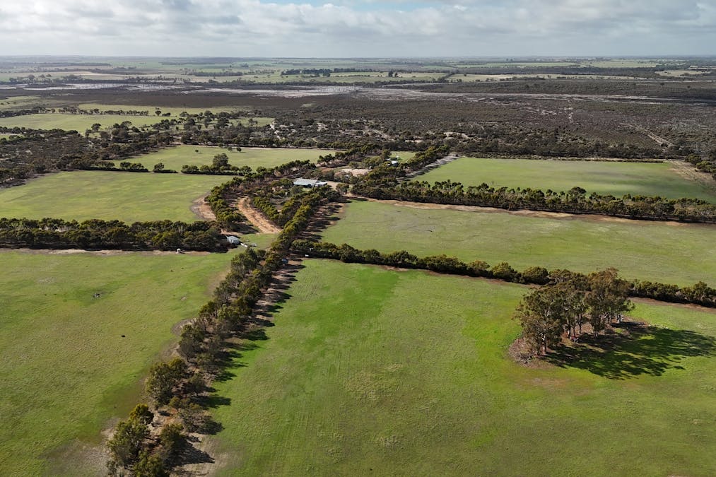 8827 Wallis Road, Katanning, WA, 6317 - Image 4