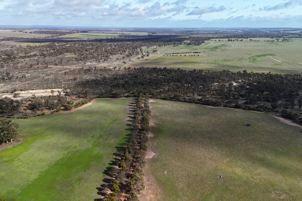 8827 Wallis Road, Katanning, WA, 6317 - Image 33