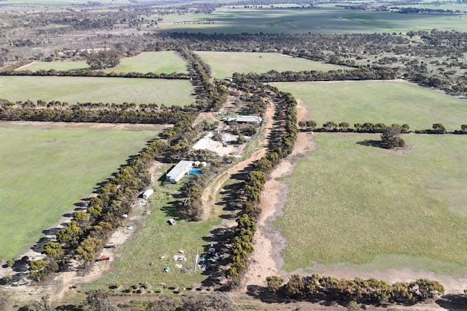 8827 Wallis Road, Katanning, WA, 6317 - Image 1