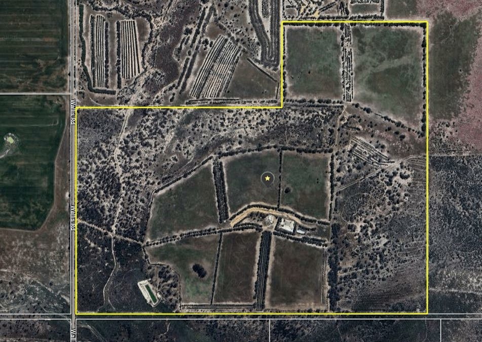 8827 Wallis Road, Katanning, WA, 6317 - Image 5