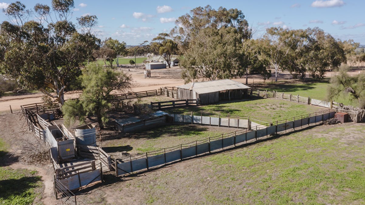 141 Shaddick Road, East Pingelly, WA, 6308 - Image 35