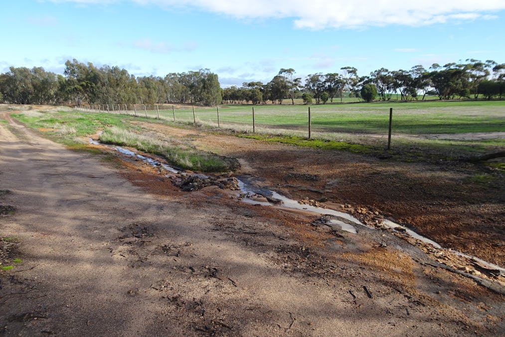 Shaddick Road, East Pingelly, WA, 6308 - Image 13