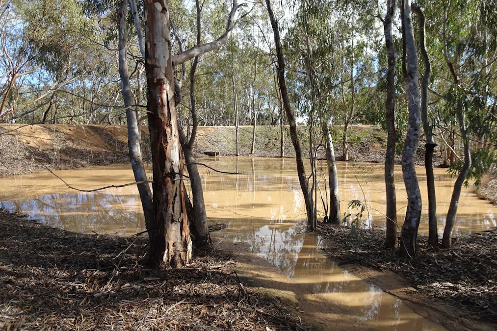 Shaddick Road, East Pingelly, WA, 6308 - Image 2