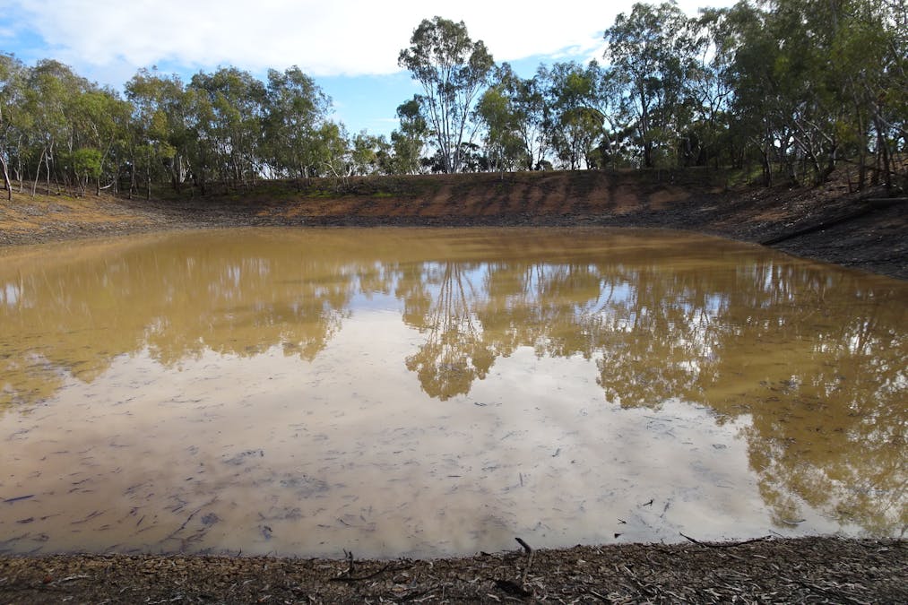 Shaddick Road, East Pingelly, WA, 6308 - Image 6