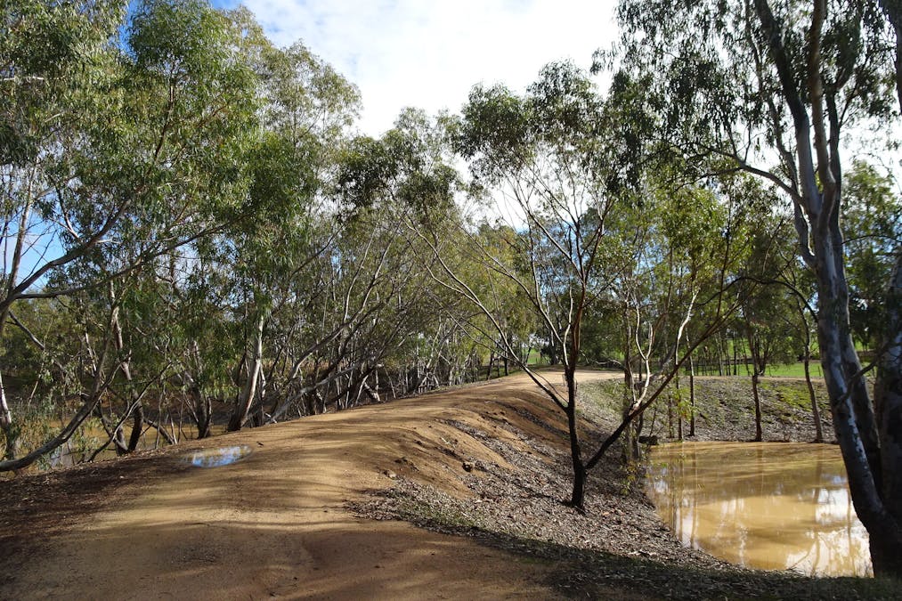 Shaddick Road, East Pingelly, WA, 6308 - Image 7
