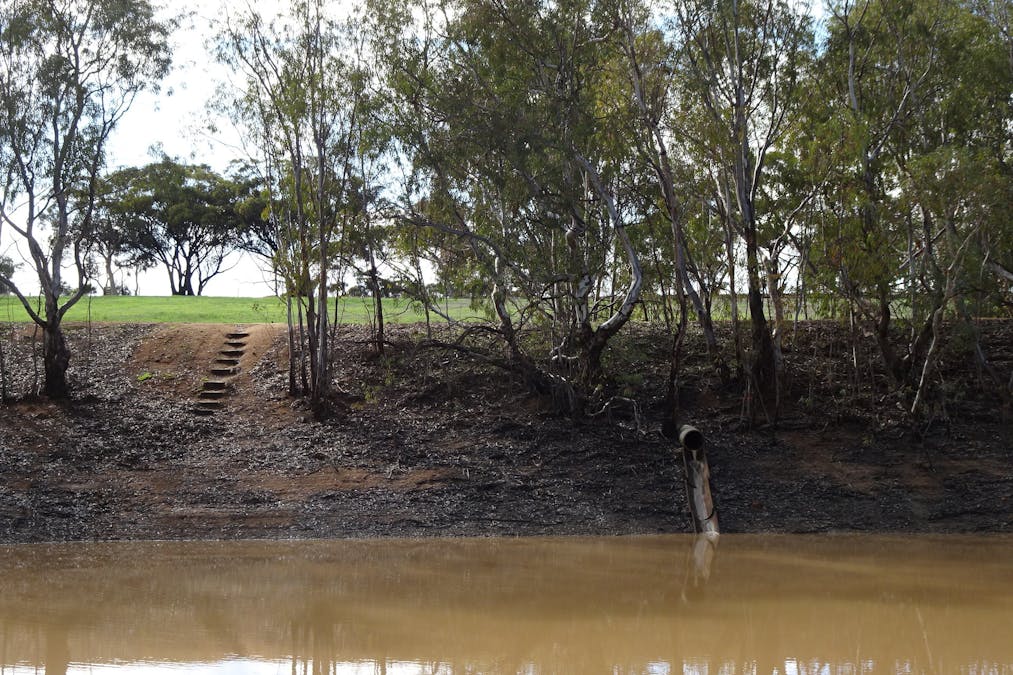 Shaddick Road, East Pingelly, WA, 6308 - Image 8