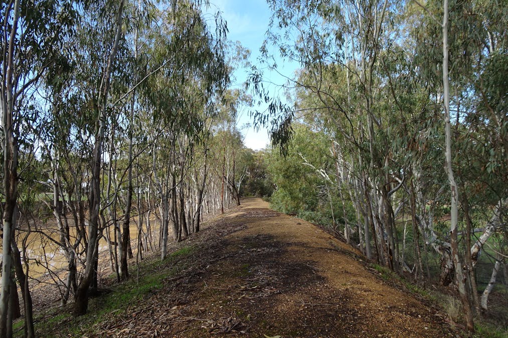 Shaddick Road, East Pingelly, WA, 6308 - Image 9