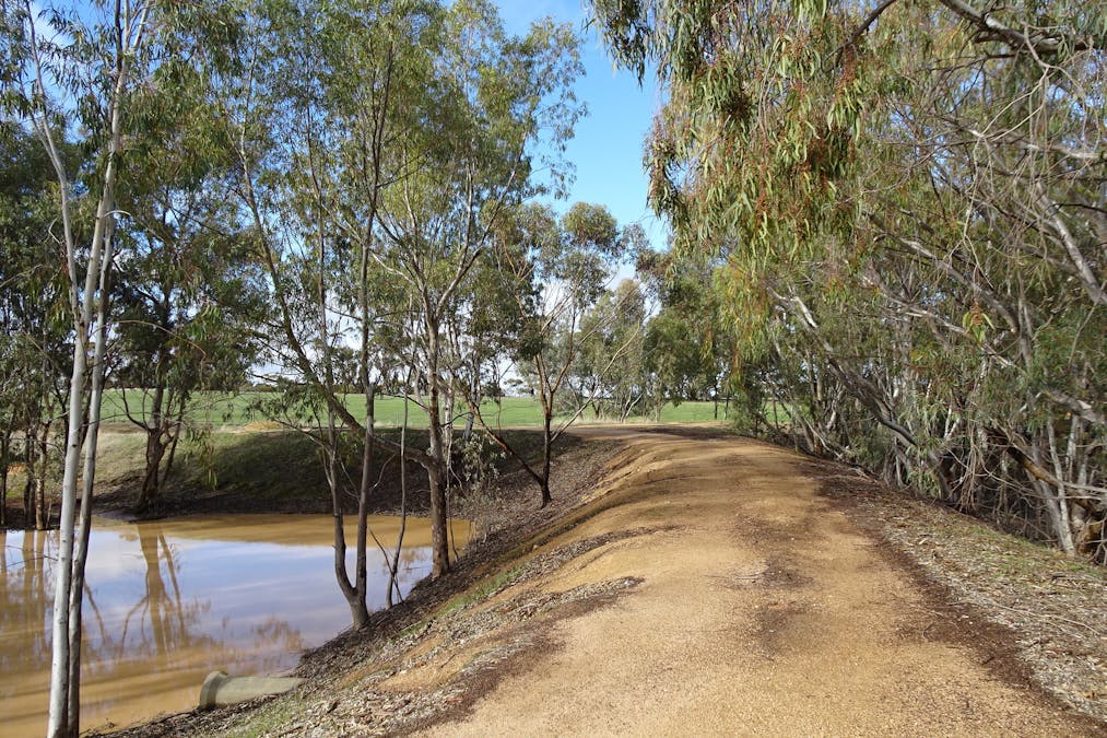 Shaddick Road, East Pingelly, WA, 6308 - Image 11