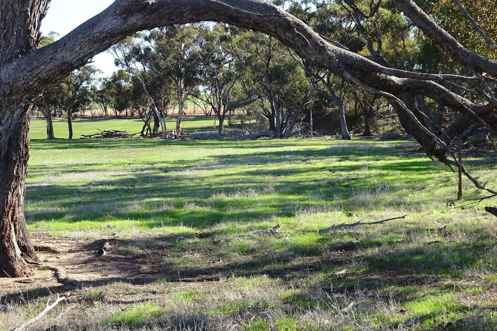 Shaddick Road, East Pingelly, WA, 6308 - Image 3