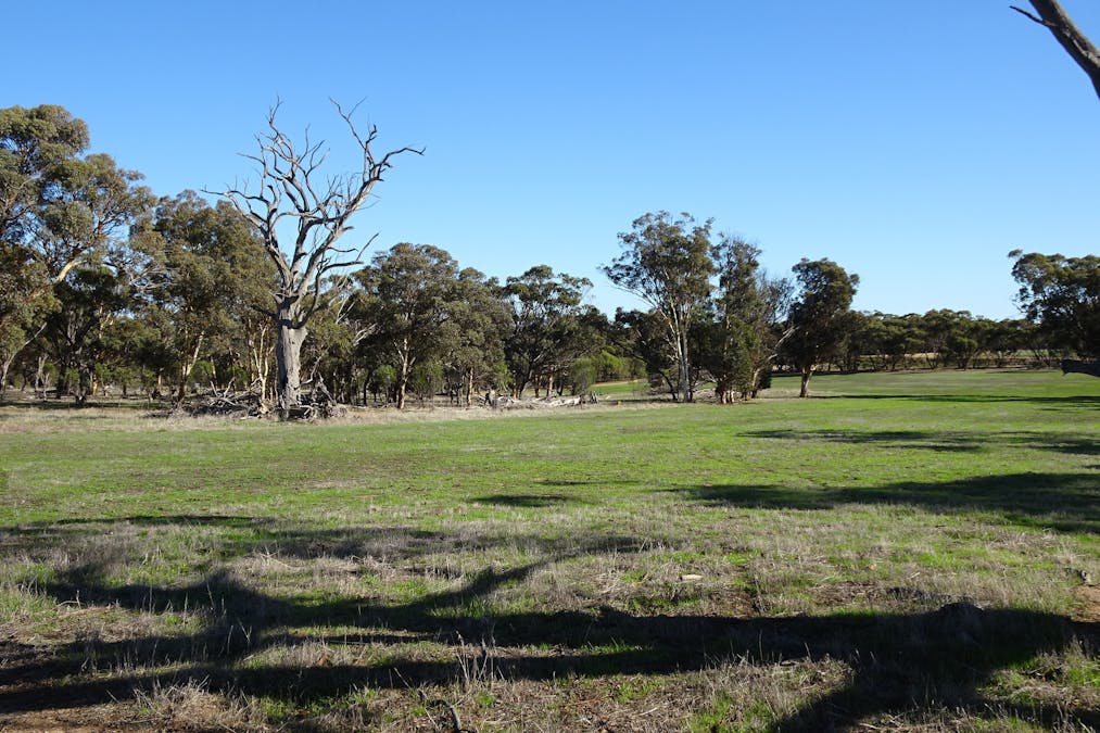 Shaddick Road, East Pingelly, WA, 6308 - Image 12