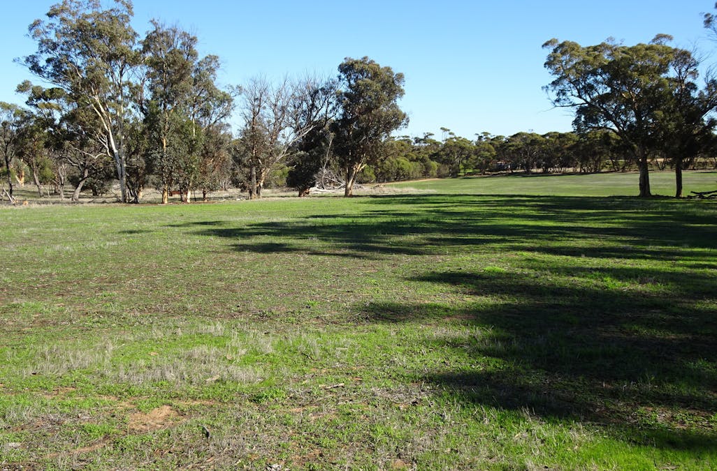Shaddick Road, East Pingelly, WA, 6308 - Image 14