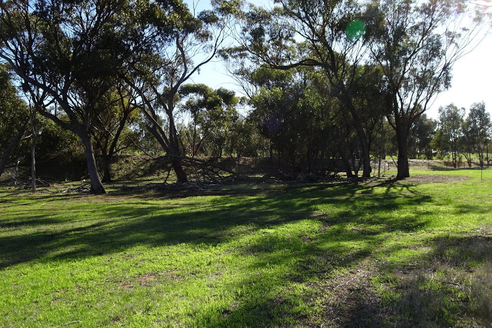 Shaddick Road, East Pingelly, WA, 6308 - Image 15