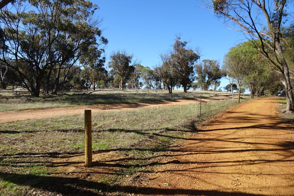 Shaddick Road, East Pingelly, WA, 6308 - Image 16