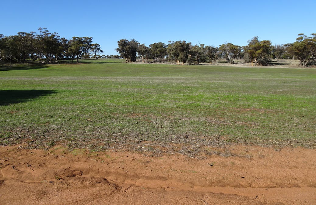 Shaddick Road, East Pingelly, WA, 6308 - Image 17