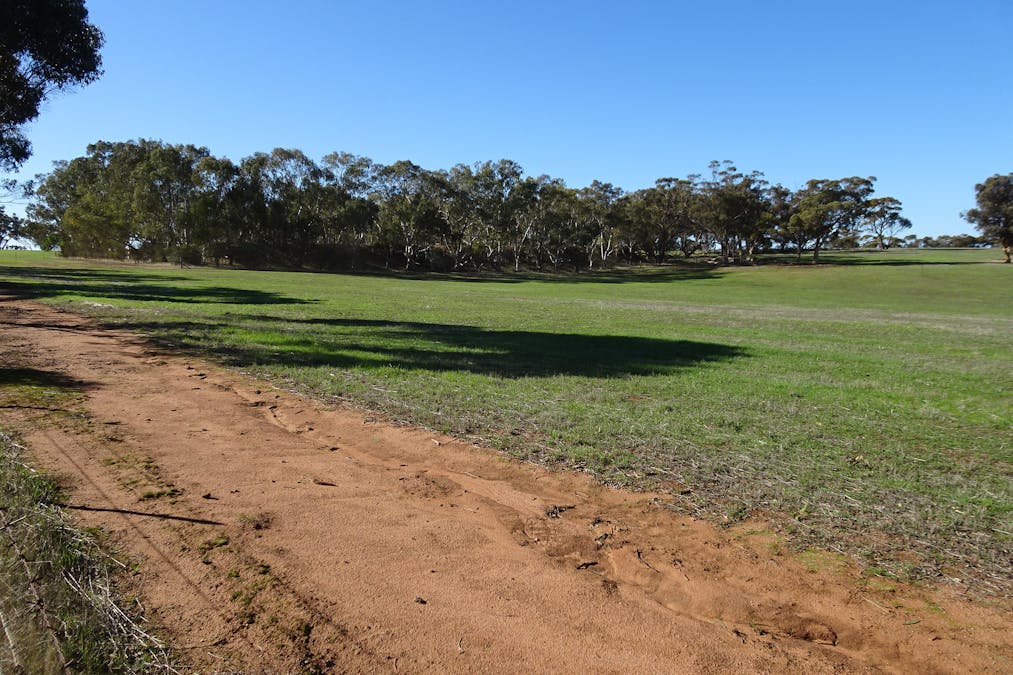 Shaddick Road, East Pingelly, WA, 6308 - Image 18