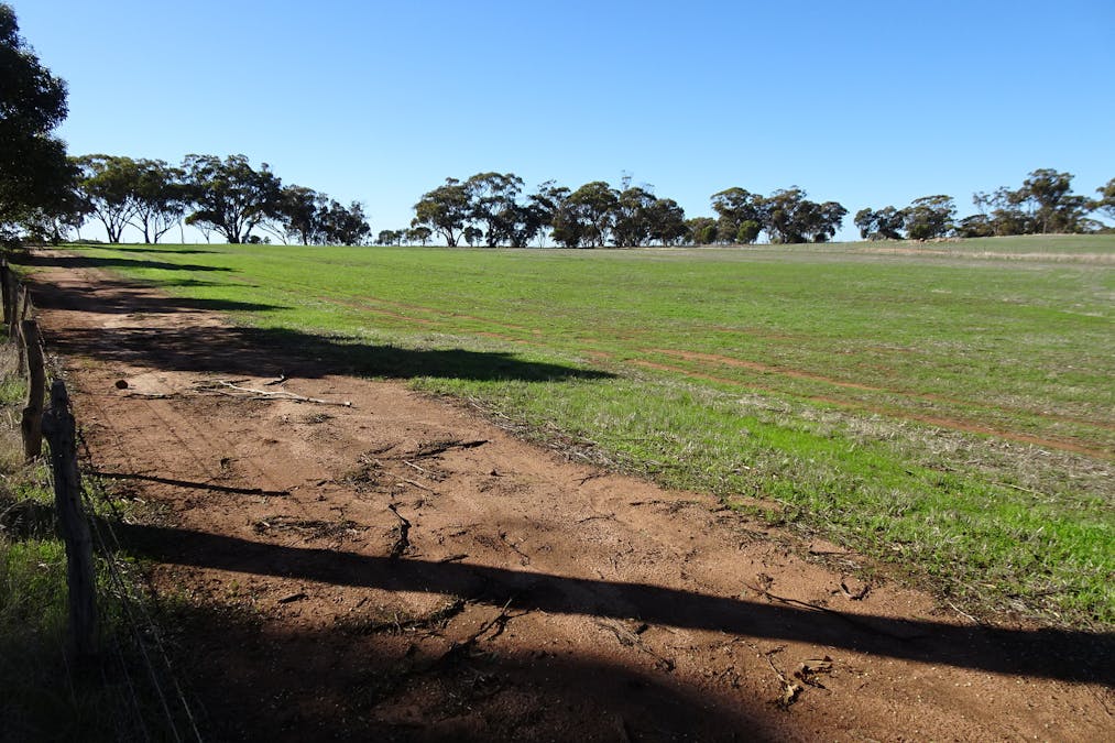 Shaddick Road, East Pingelly, WA, 6308 - Image 19