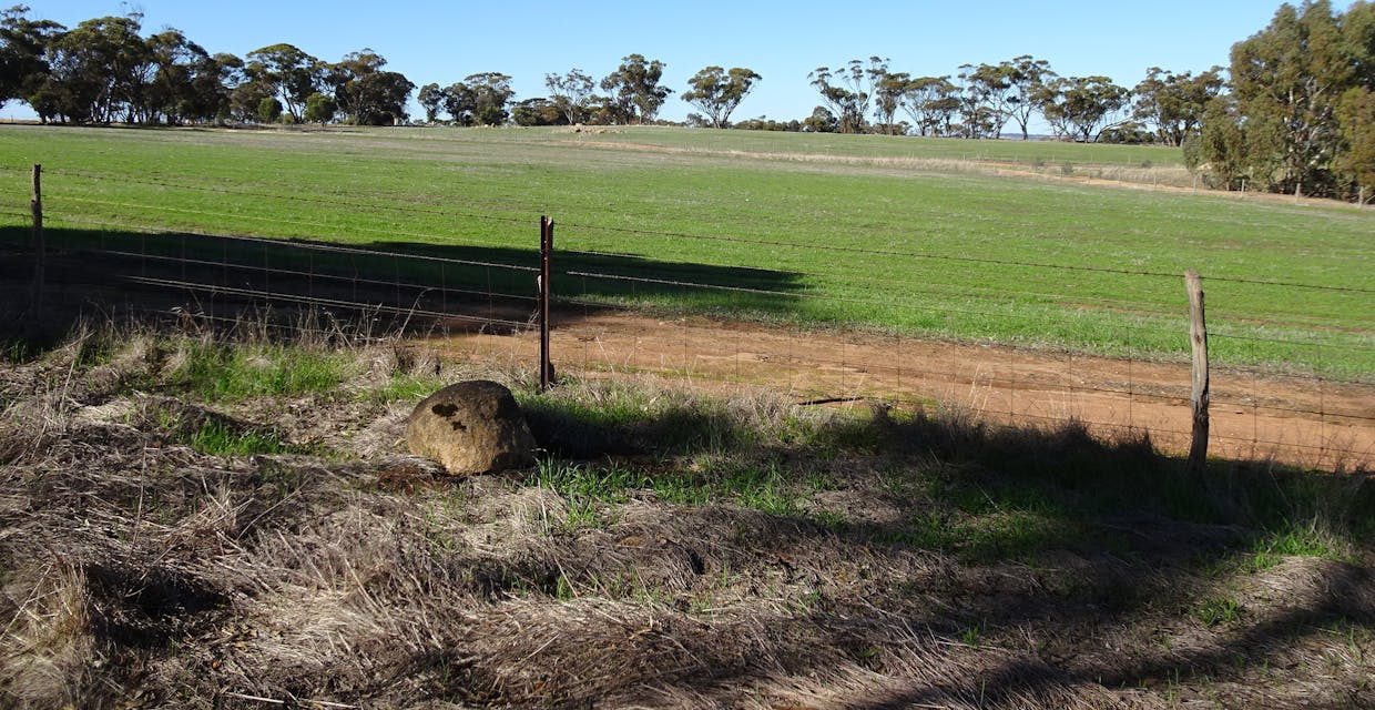 Shaddick Road, East Pingelly, WA, 6308 - Image 20
