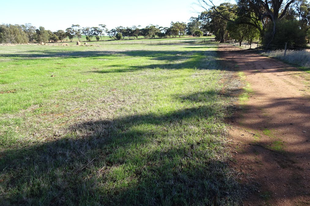 Shaddick Road, East Pingelly, WA, 6308 - Image 21