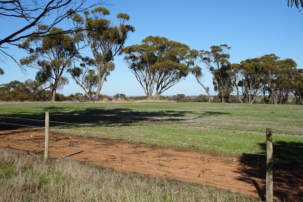 Shaddick Road, East Pingelly, WA, 6308 - Image 22