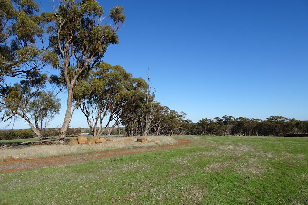 Shaddick Road, East Pingelly, WA, 6308 - Image 23