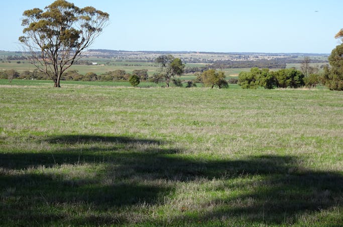Shaddick Road, East Pingelly, WA, 6308 - Image 1