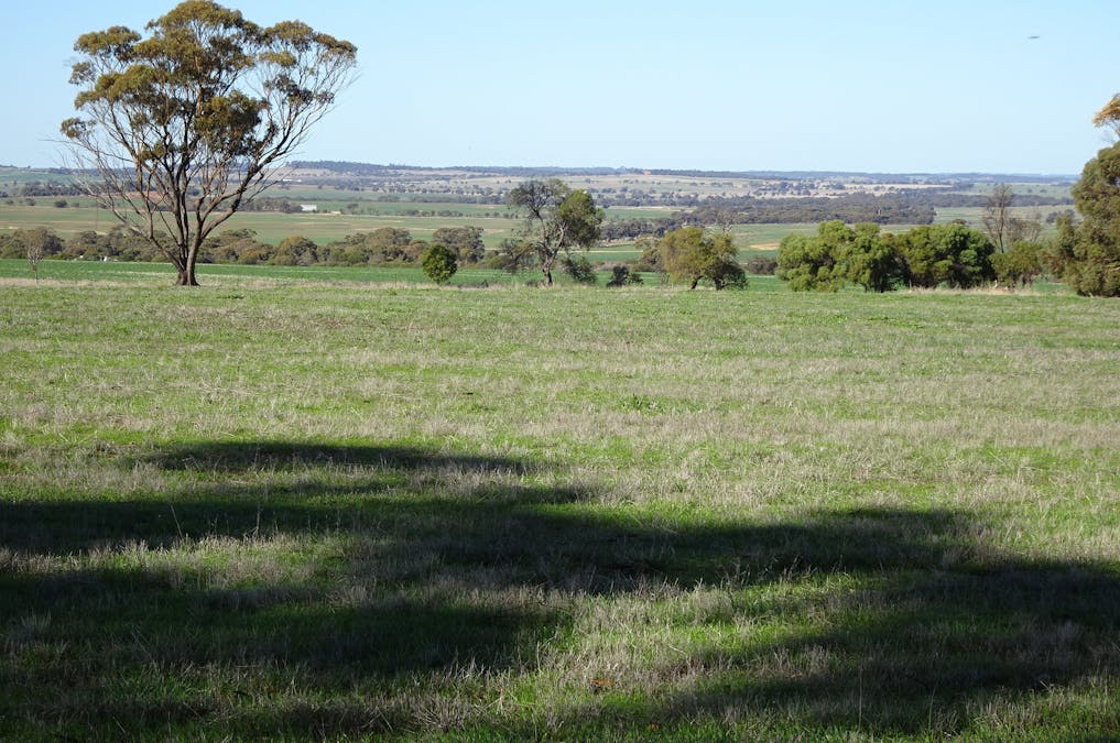 Shaddick Road, East Pingelly, WA, 6308 - Image 1