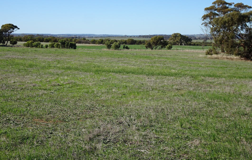 Shaddick Road, East Pingelly, WA, 6308 - Image 25