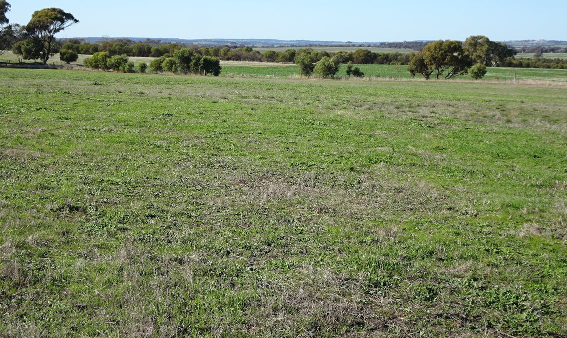 Shaddick Road, East Pingelly, WA, 6308 - Image 26