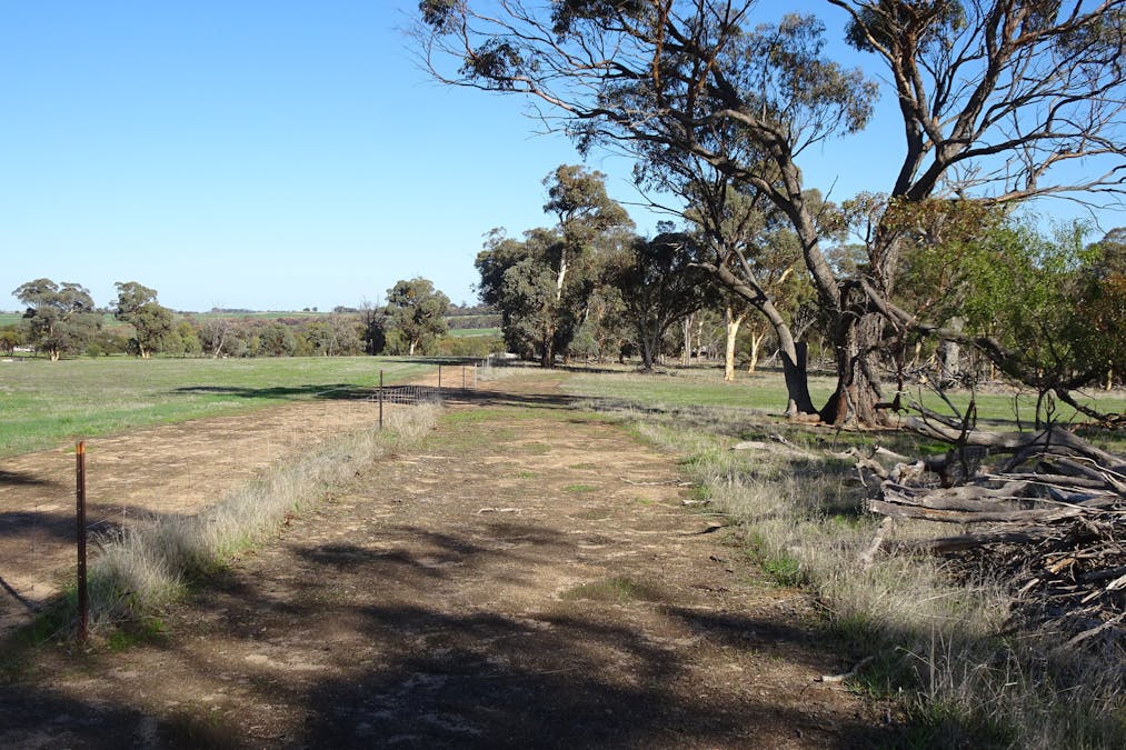 Shaddick Road, East Pingelly, WA, 6308 - Image 33